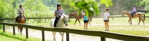 A daily schedule at summer camp might include horseback riding